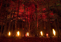 Photograph from Enchanted Forest - lighting design by Simon Wilkinson