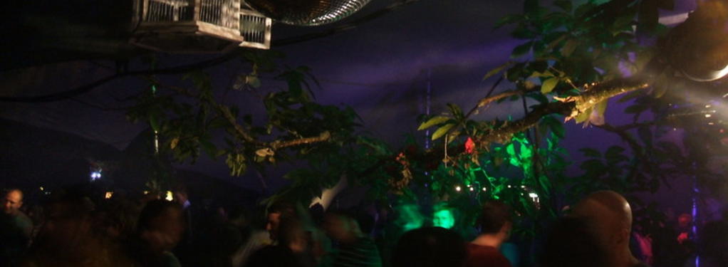 Photograph from Red Bull Enchanted Forest - lighting design by Pete Watts
