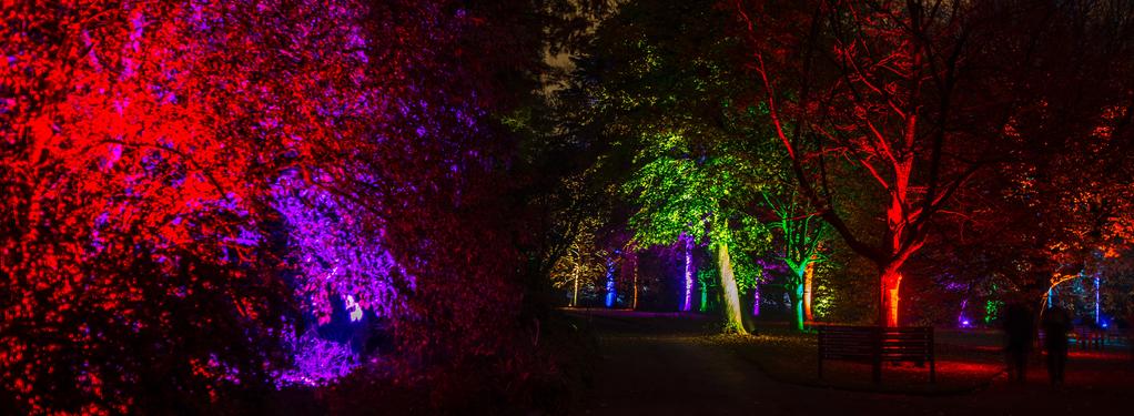 Photograph from Botanic Lights 2015 - lighting design by Grant Anderson