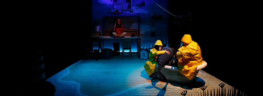 Photograph from Storm Whale - lighting design by Jason Salvin