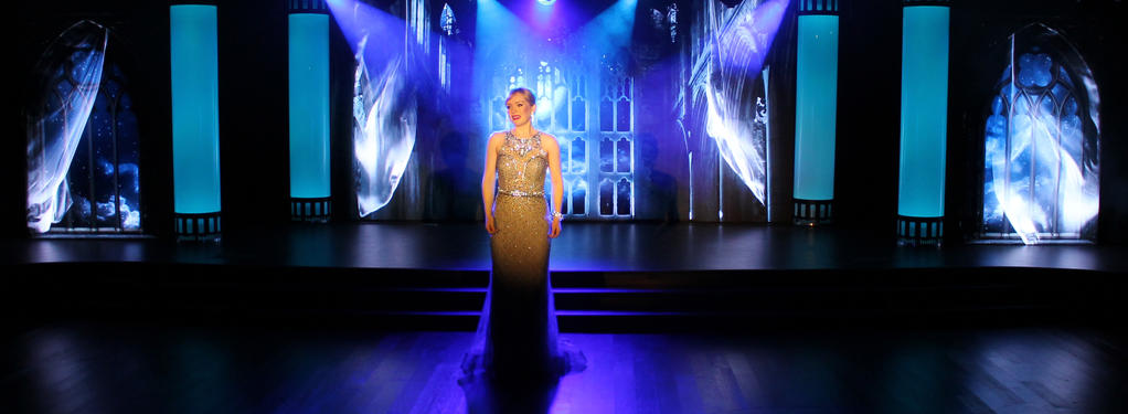 Photograph from Hollywood Ovation - lighting design by David Totaro