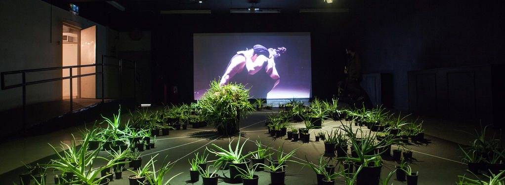 Photograph from Trans:plant - lighting design by Marty Langthorne