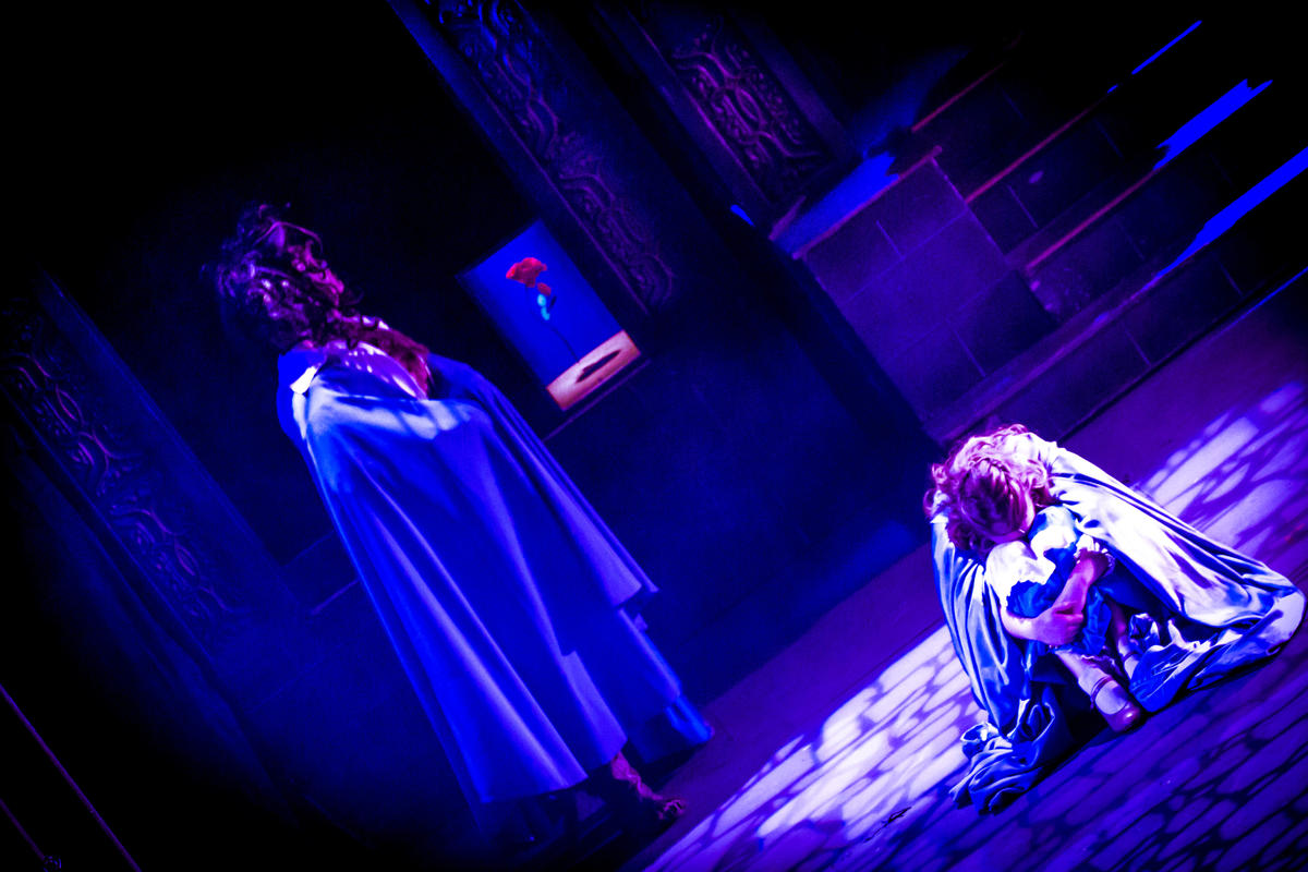 Photograph from Beauty and the Beast - lighting design by Andrew Bird