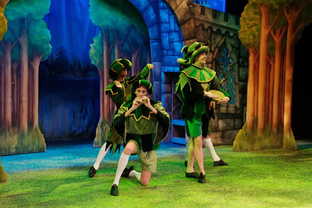 Photograph from Monty Python&#039;s Spamalot - lighting design by Theo Farringdon