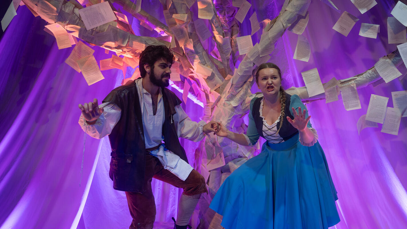 Photograph from Into The Woods - lighting design by RobLuggar