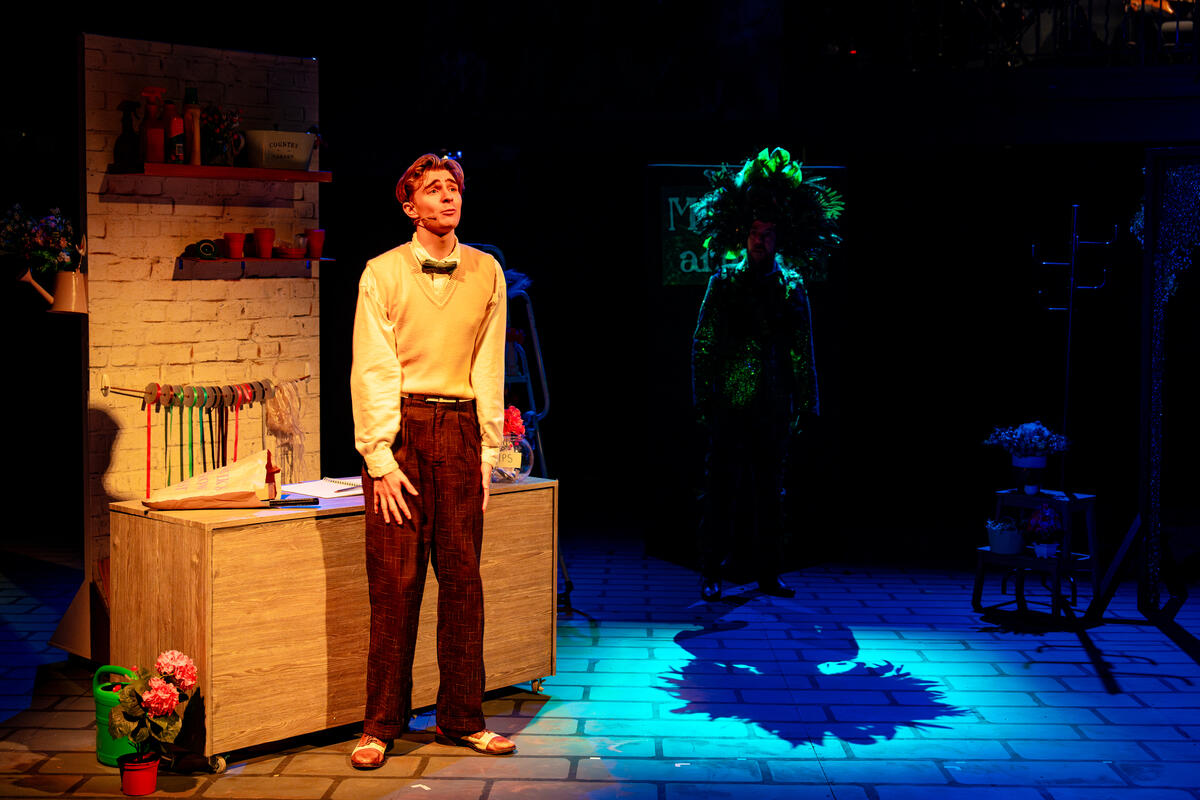 Photograph from Little Shop of Horrors - lighting design by Nina Morgan