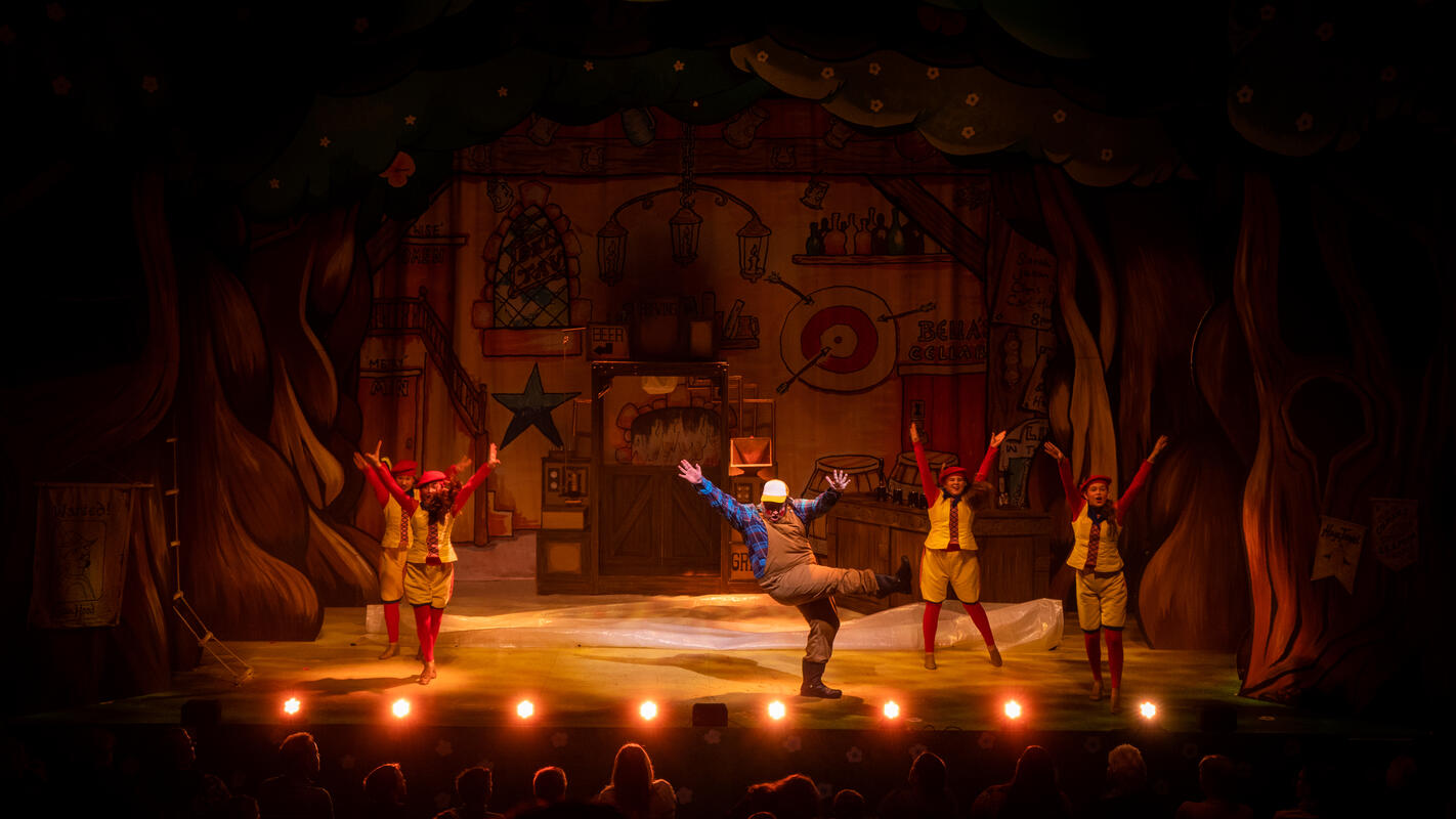 Photograph from Robin Hood - Pantomime - lighting design by Johnathan Rainsforth
