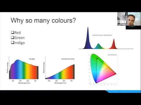 Preview image for the video "Declan Randall   Color Knowledge".