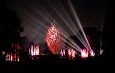 Morton Arboretum