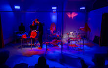 Photograph from The Assembly of Animals - lighting design by Marty Langthorne