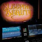 Photograph from Sleeping Beauty - Pantomine - lighting design by rohanmcdermott