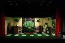 Photograph from Little Shop of Horrors - lighting design by robynlaweslx