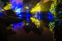 Photograph from Botanic Lights 2015 - lighting design by Grant Anderson