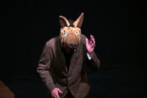 Photograph from The Gruffalo, The Witch and The Warthog with Julia Donaldson - lighting design by Louise Gregory