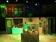 Photograph from Little Shop of Horrors - lighting design by RaefnW