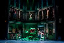 Photograph from Little Shop of Horrors - lighting design by David Kidd