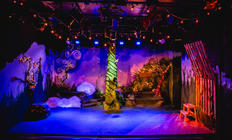 Photograph from Cinderella and the Beanstalk - lighting design by Ali Hunter