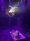 Photograph from ANGELS IN AMERICA: MILLENNIUM APPROACHES - lighting design by Wally Eastland