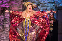Photograph from Camelot the Pantomime - lighting design by jackfenton