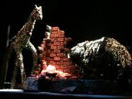 Photograph from Bengal Tiger at the Baghdad Zoo - lighting design by Nigel Pereira