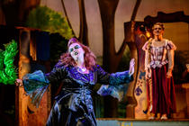 Photograph from Rapunzel The Musical - lighting design by George Bach