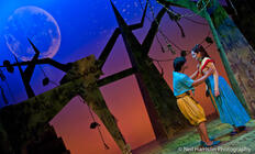 Photograph from The Jungle Book - lighting design by James McFetridge