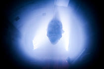 Photograph from Goosebumps Alive - lighting design by Charlie Morgan Jones